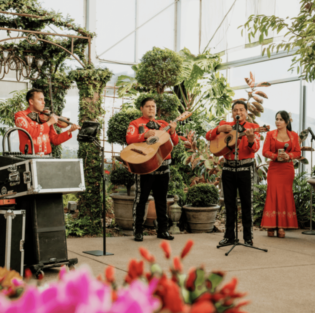 Mariachi band performing at Mattie and Victor's wedding reception at Cactus & Tropicals